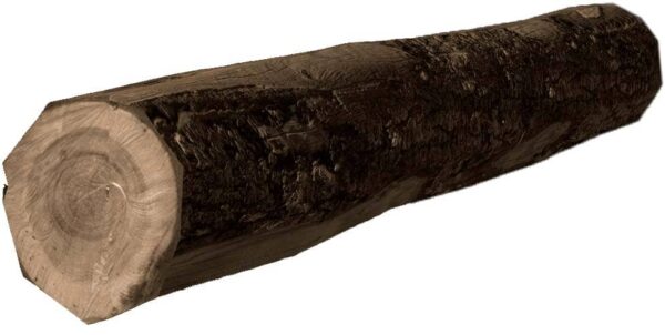 Wooden log